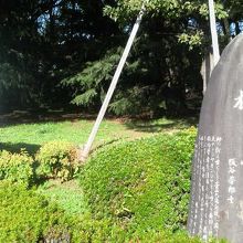 木の名が刻まれた石碑と案内板があります（ないと気付きにくそう