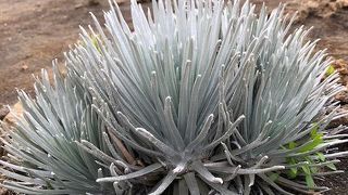 山頂へ行く途中で立ち寄り