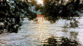 神秘的な森の中の神社