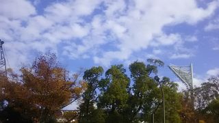 夏の時期には横浜に住んでいる友人と一緒に招待券で野球を見に来ている