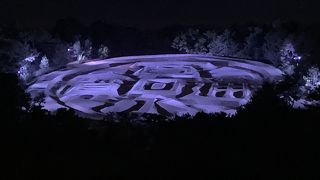 なんかいいことあるかも♪