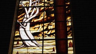 オーストラリアの生き物がたくさん