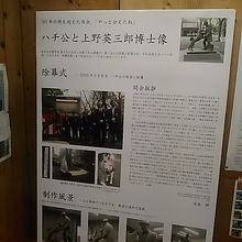 ハチは、今も東大で大切に扱われています