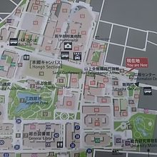 亀岡門の近くで、東大敷地の東端にあります。