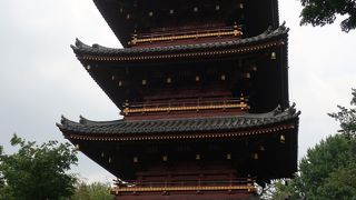 動物園から見るのが良い