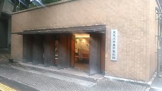 (農学資料館)昭和10年に死亡した忠犬ハチ公の臓器が保管されていました
