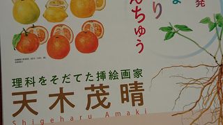 図鑑や教科書の絵