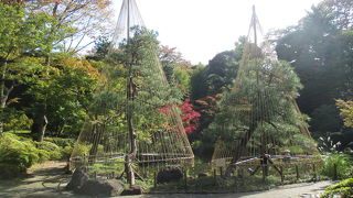 冬の準備万端です。