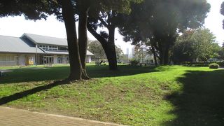 ご近所の奥様がたくさんやって来ていました。