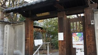 残念ながら、中は見られず