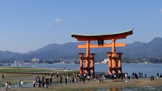 海が干上がっている時も悪くは無い　大鳥居までは歩いて行ける