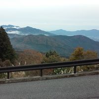 駐車場からの眺め。