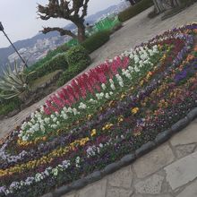 綺麗に手入れのされてる花壇は癒されます