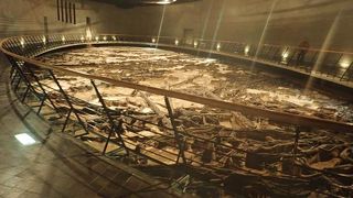 富沢遺跡の樹木やたき火の跡をそのまま保存して展示している施設