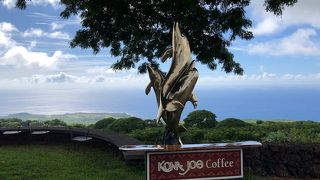 絶景のコーヒー農園