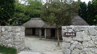 水族館以外にも見どころはたくさん