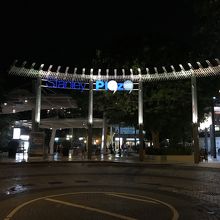 ショッピング場所