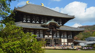 大仏殿は、世界最大の木造建築