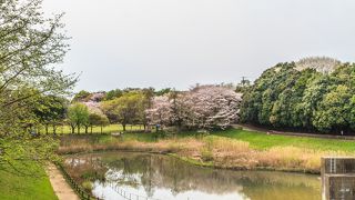 美しが丘近隣公園