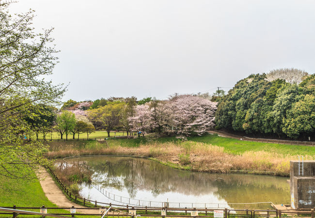 美しが丘近隣公園