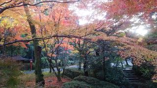 秋の常照寺