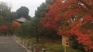 庭園の紅葉