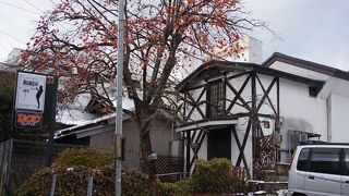 秋田市内散歩中