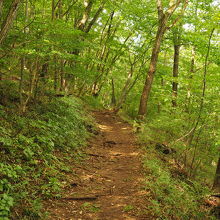 登山道①