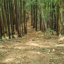 登山道②