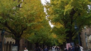 散策してきました