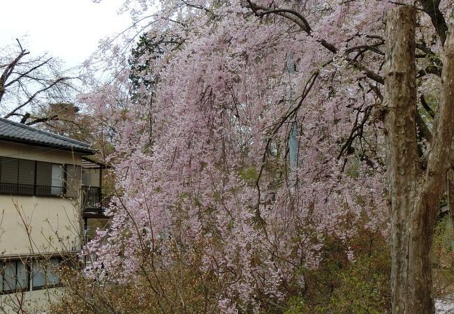 沼田公園 クチコミ アクセス 営業時間 沼田 フォートラベル