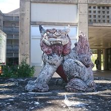 大学前のシーサー