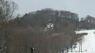 緩斜面が中心のスキー場ですが、ゆっくり楽しく滑れました。