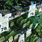 コメリホームセンター 日野新町店 クチコミ アクセス 営業時間 日野 昭島 フォートラベル コメリホームセンター 日野新町店 クチコミ アクセス 営業時間 日野 昭島 フォートラベル