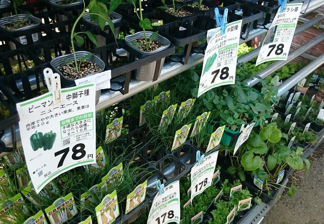 コメリホームセンター 日野新町店 クチコミ アクセス 営業時間 日野 昭島 フォートラベル