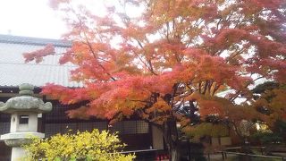 紅葉　源光庵
