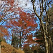 紅葉の時期に大山登山