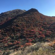 標高1762m！南の久住山と対峙する九重連峰の山