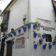 白壁に鉢植えの花のある家屋