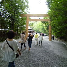 参道も空気が違う気がします