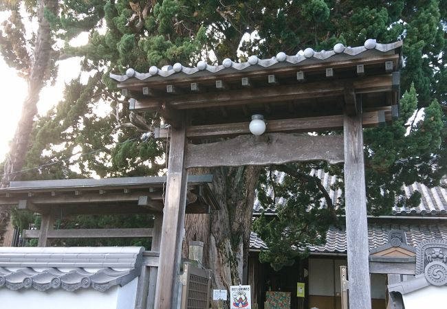 地蔵院