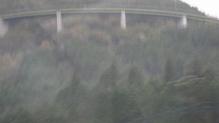 サービスエリアから見えました