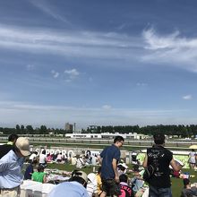 札幌競馬場