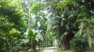 園内は広いので時間をかけてゆっくり歩きます