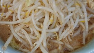 気に入っています