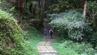 快適なハイキング　ただし一日がかり