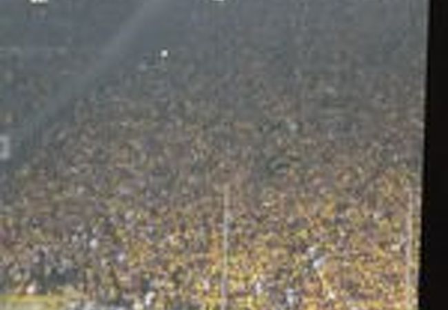 大迫力のスタジアム