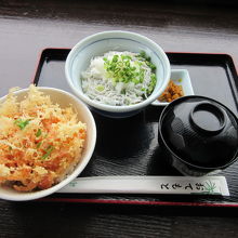 「しらす丼」と「桜えびかきあげ丼」の小丼セット