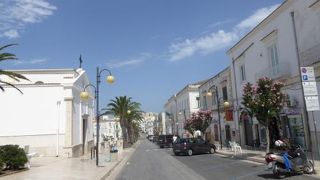 お店が増えました