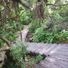 下りの木製の階段